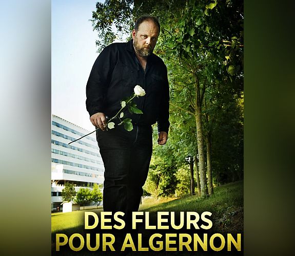 Des fleurs pour Algernon (2013)