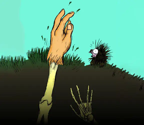 Vignette : Dessins divers