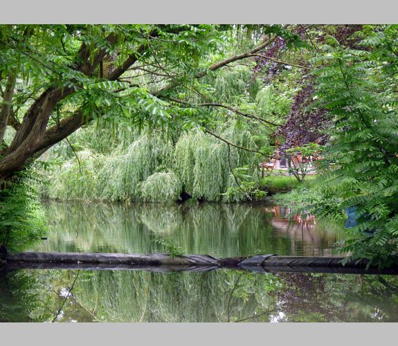 Zoo d'Amiens (2)