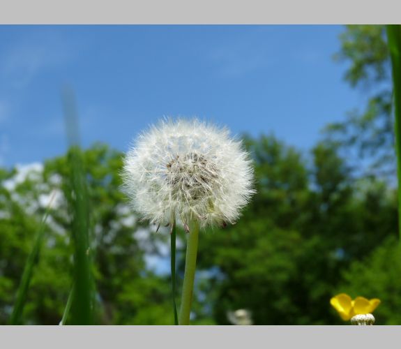 Parc de Lacroix-Laval