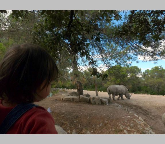 Zoo du Lunaret (2)