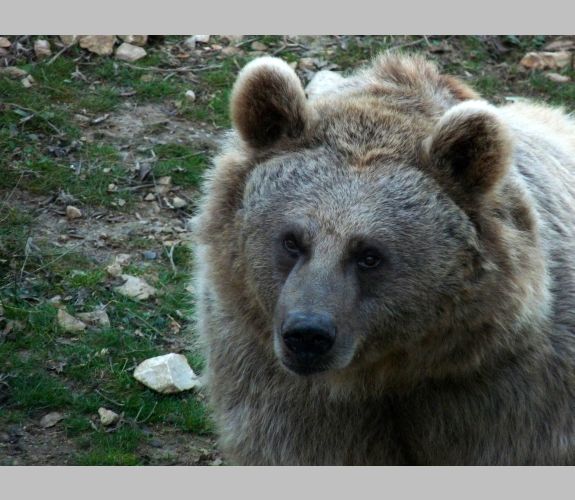 Zoo de Lunaret (4)