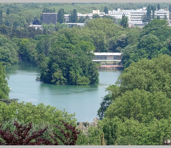 Croix-Rousse – Île des tamaris