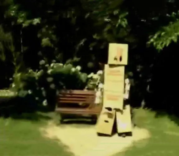 Vignette : Courts-métrages