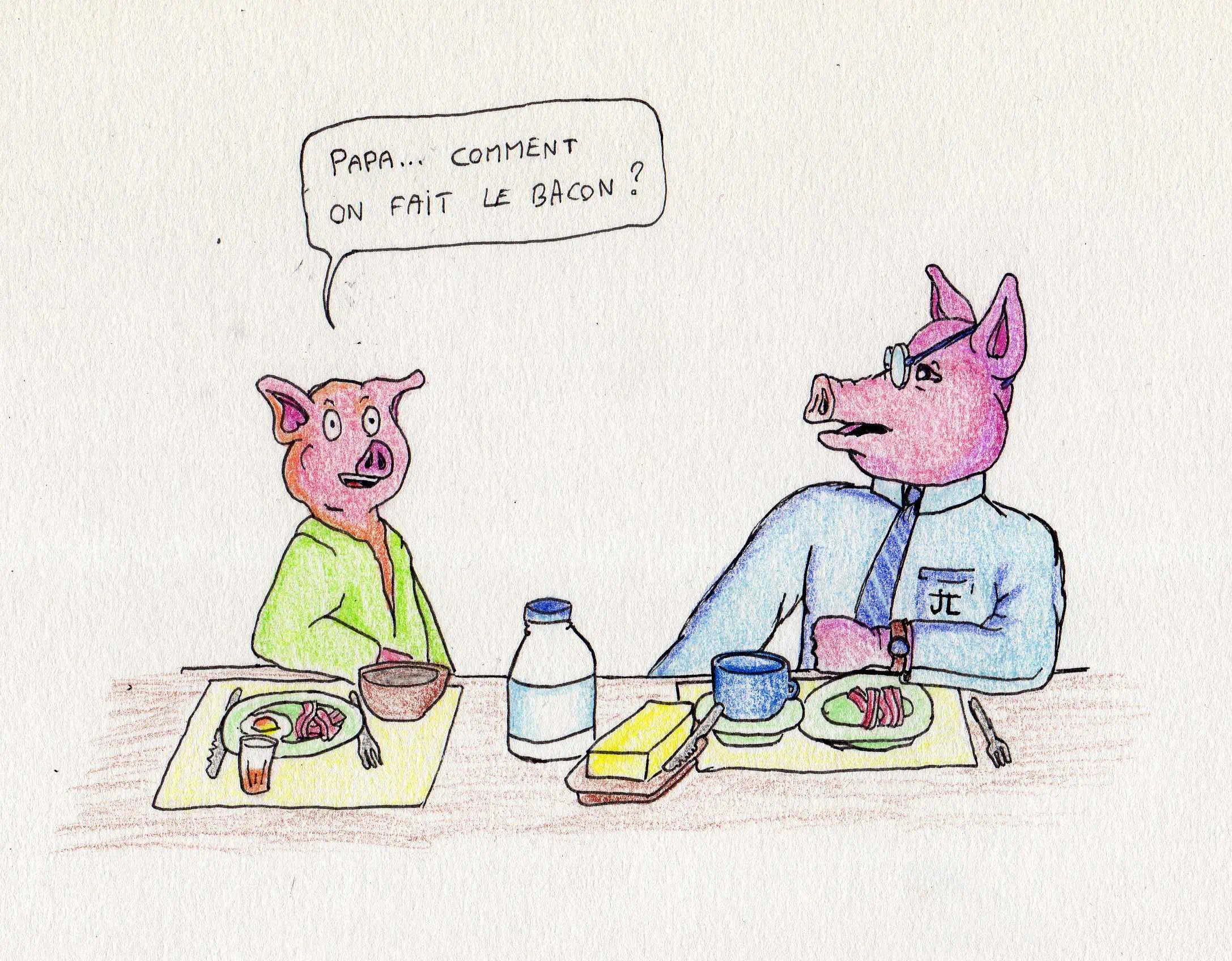 Document : Histoires cochonnes – 8