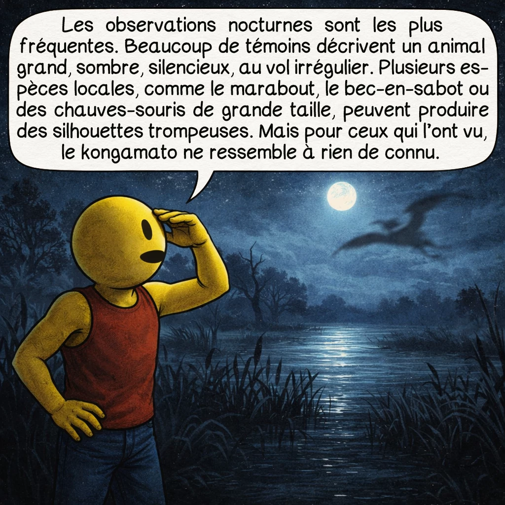 Le kongamato, case 7 : Les observations nocturnes sont les plus fréquentes. Beaucoup de témoins décrivent un animal grand, sombre, silencieux, au vol irrégulier. Plusieurs espèces locales — comme le marabout, le bec-en-sabot ou des chauves-souris de grande taille — peuvent produire des silhouettes trompeuses. Mais pour ceux qui l’ont vu, le kongamato ne ressemble à rien de connu.