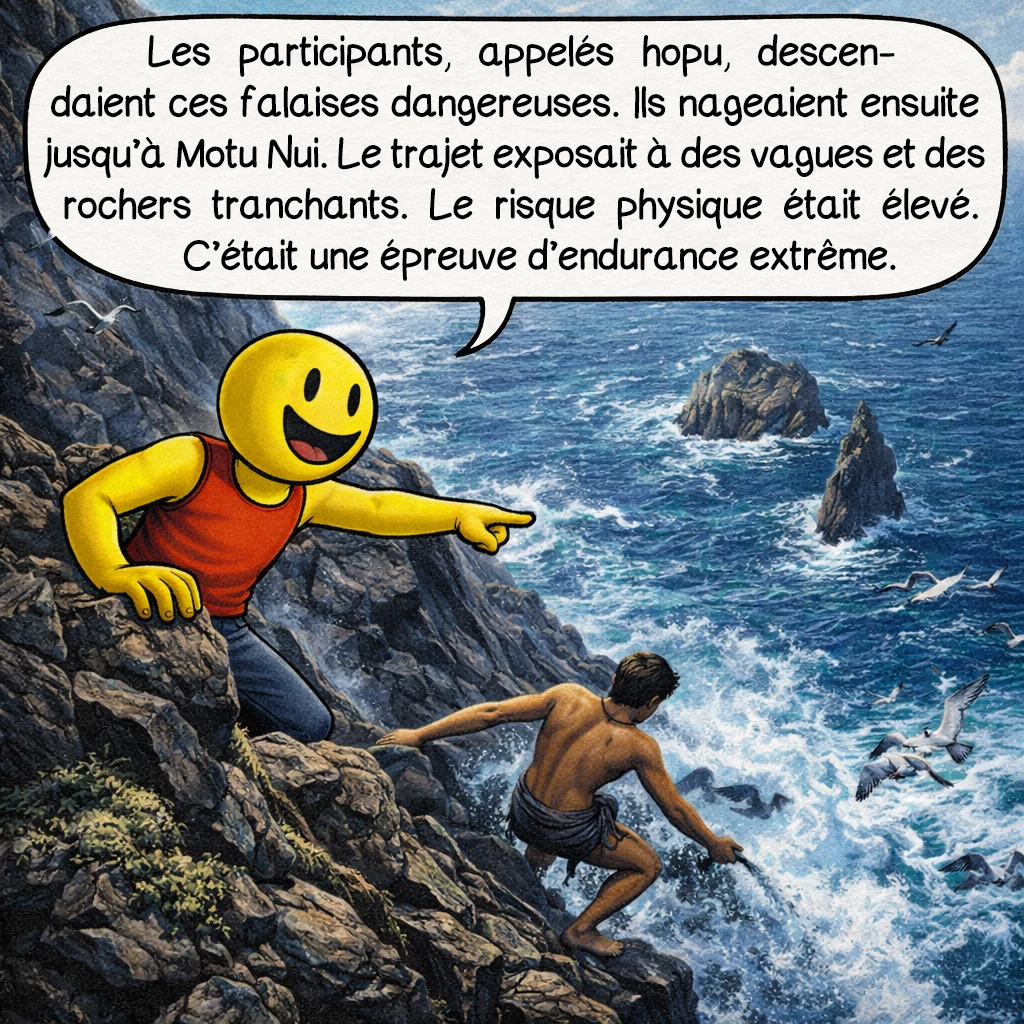 Le Tangata manu, case 3 : Les participants, appelés hopu, descendaient ces falaises dangereuses. Ils nageaient ensuite jusqu’à Motu Nui. Le trajet exposait à des vagues et des rochers tranchants. Le risque physique était élevé. C’était une épreuve d’endurance extrême.