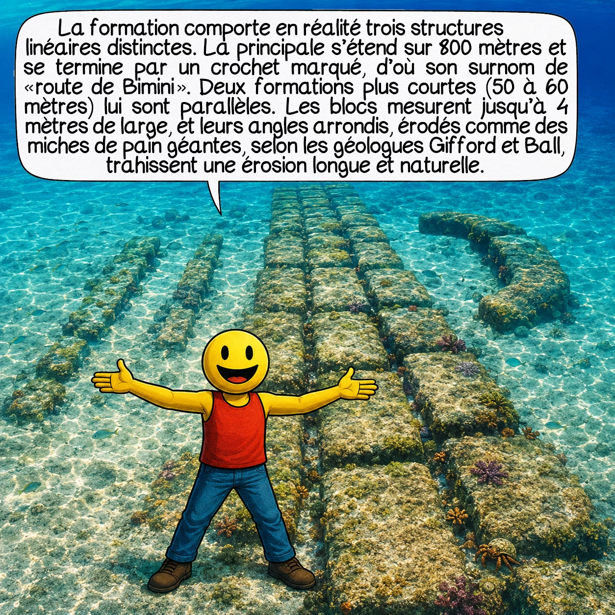 La route de Bimini, case 4 : La formation comporte en réalité trois structures linéaires distinctes. La principale s’étend sur 800 mètres et se termine par un crochet marqué — d’où son surnom de « Route de Bimini ». Deux formations plus courtes (50 à 60 mètres) lui sont parallèles. Les blocs mesurent jusqu’à 4 mètres de large, et leurs angles arrondis — érodés comme des miches de pain géantes, selon les géologues Gifford et Ball — trahissent une érosion longue et naturelle.