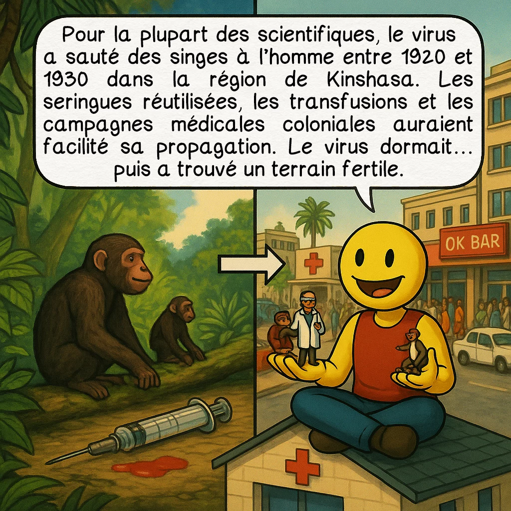 Le SIDA, case 5 : Pour la plupart des scientifiques, le virus a sauté des singes à l’homme entre 1920 et 1930 dans la région de Kinshasa. Les seringues réutilisées, les transfusions et les campagnes médicales coloniales auraient facilité sa propagation. Le virus dormait… puis a trouvé un terrain fertile.