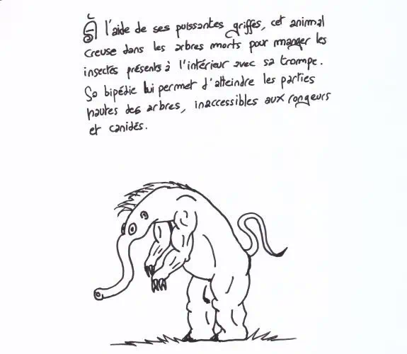 Dessin de : A 051