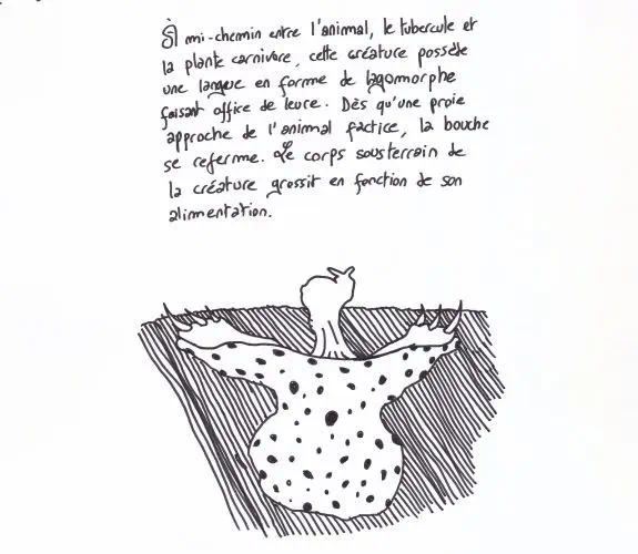 Dessin de : A 052