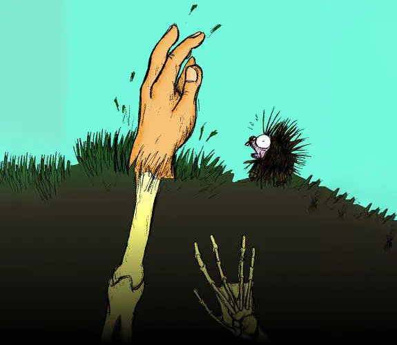 Dessin de : D 022