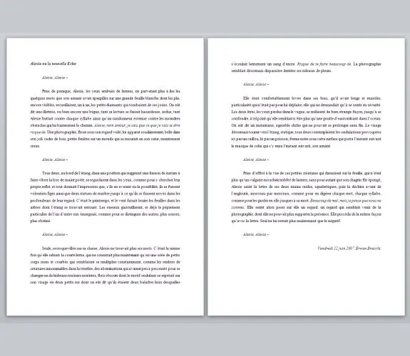 Vignette : Alexie ou la nouvelle Écho : Erwan Bracchi : Projet réalisé en 2007 avec <a href="http://werna.fr">Erwan Bracchi</a>.<br/> L'idée était de créer autour d'un thème…