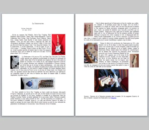Vignette : La Stratocaster : Erwan Bracchi : Projet réalisé en 2007 avec <a href="http://werna.fr">Erwan Bracchi</a>.<br/> L'idée était de créer autour d'un thème…