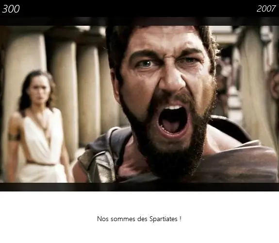 Vignette : 300