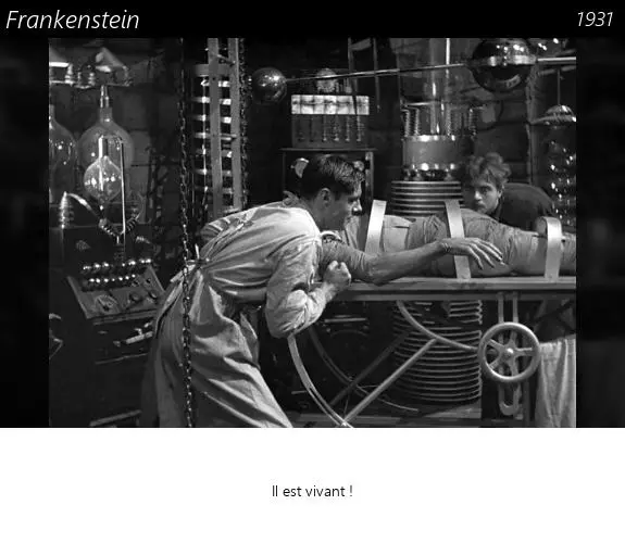 Vignette : Frankenstein