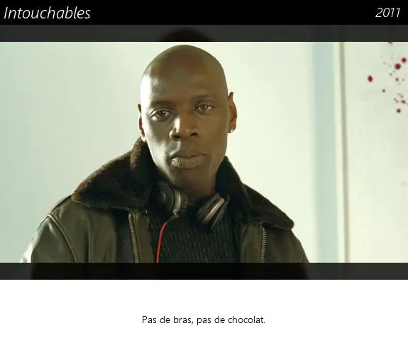 Vignette : Intouchables