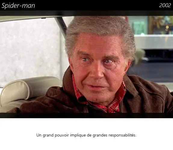 Vignette : Spider-man
