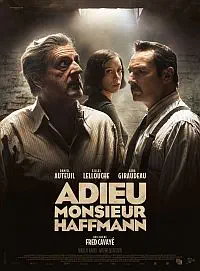 Illustration de critique : Adieu monsieur Haffmann