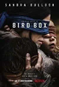 Illustration de critique : Bird box