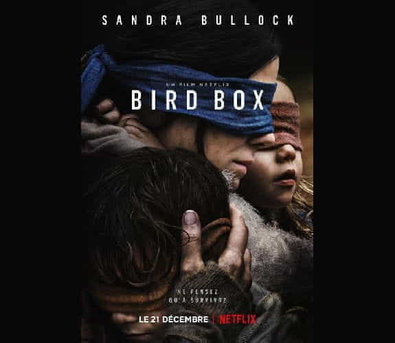 Bird box