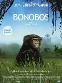 Illustration de critique : Bonobos