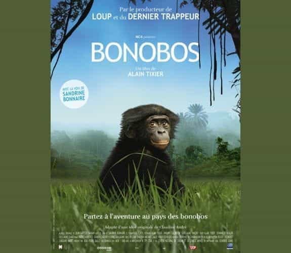 Bonobos