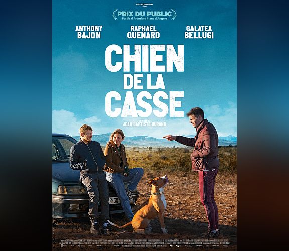 Chien de la casse