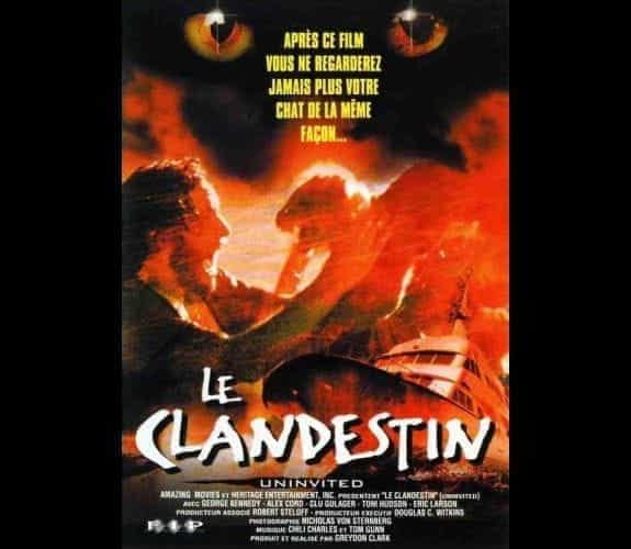 Le clandestin