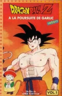 Illustration de critique : Dragon ball Z : à la poursuite de Garlic