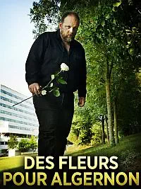 Illustration de critique : Des fleurs pour Algernon (2013)
