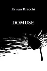 Illustration de critique : Domuse