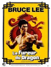 Illustration de critique : La fureur du dragon