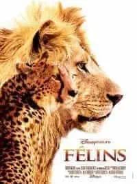 Illustration de critique : Félins