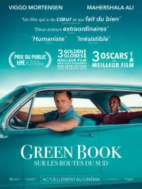 Illustration de critique : Green book : sur les routes du sud