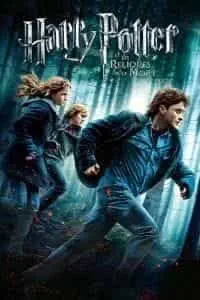 Illustration de critique : Harry Potter et les reliques de la mort - partie 1