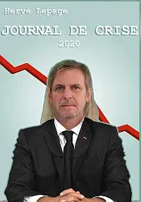 Illustration de critique : Journal de crise 2020