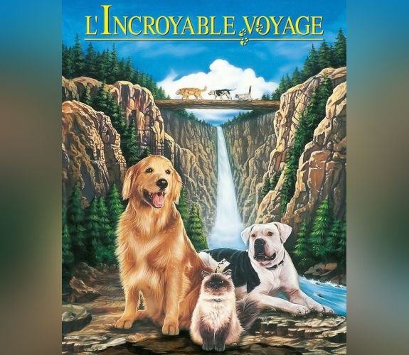 L'incroyable voyage