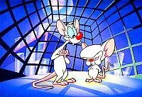 Critique de Minus et Cortex