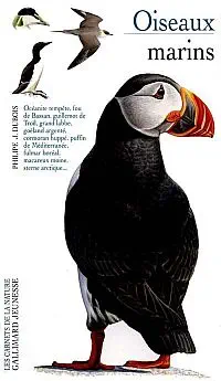 Illustration de critique : Oiseaux marins