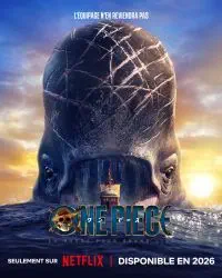 Illustration de critique : One piece (saison 2)