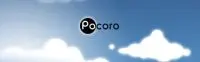 Illustration de critique : Pocoro