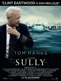Illustration de critique : Sully