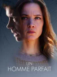 Illustration de critique : Un homme parfait