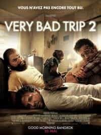 Very bad trip 2