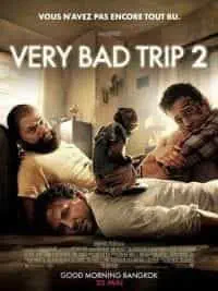 Illustration de critique : Very bad trip 2