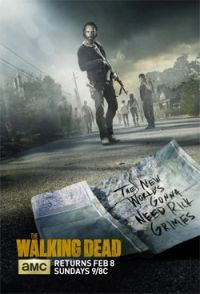 The walking dead (saison 5)